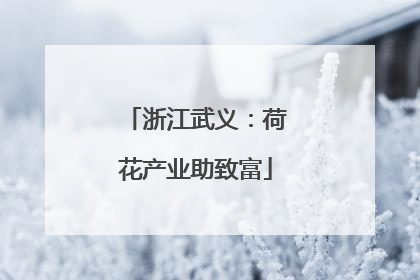 浙江武义：荷花产业助致富