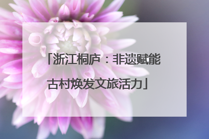 浙江桐庐：非遗赋能古村焕发文旅活力