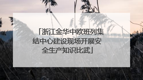 浙江金华中欧班列集结中心建设现场开展安全生产知识比武