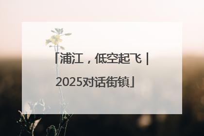 浦江，低空起飞｜2025对话街镇