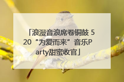 浪漫音浪席卷铜鼓 520“为爱而来”音乐Party甜蜜收官