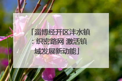 淄博经开区沣水镇：织密路网 激活镇域发展新动能