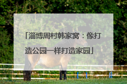 淄博周村韩家窝：像打造公园一样打造家园