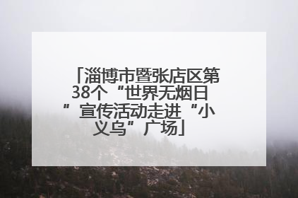 淄博市暨张店区第38个“世界无烟日”宣传活动走进“小义乌”广场