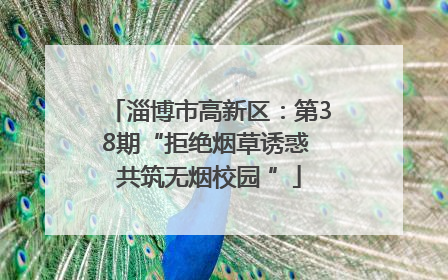 淄博市高新区：第38期“拒绝烟草诱惑 共筑无烟校园 ”