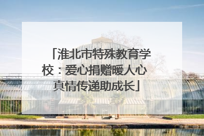 淮北市特殊教育学校：爱心捐赠暖人心 真情传递助成长