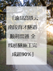 渝昆高铁云南段育才隧道顺利贯通 全线桥隧施工完成超90%