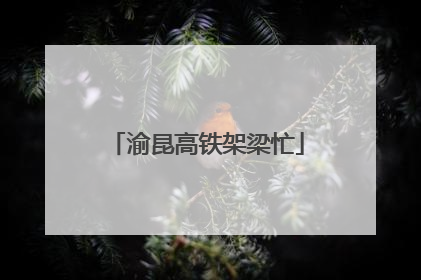 渝昆高铁架梁忙