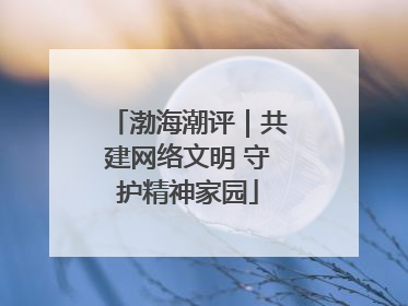 渤海潮评｜共建网络文明 守护精神家园