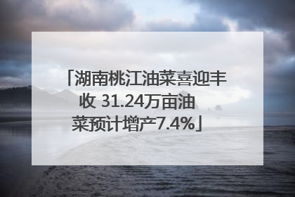 湖南桃江油菜喜迎丰收 31.24万亩油菜预计增产7.4%