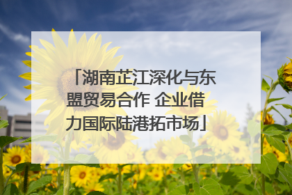 湖南芷江深化与东盟贸易合作 企业借力国际陆港拓市场