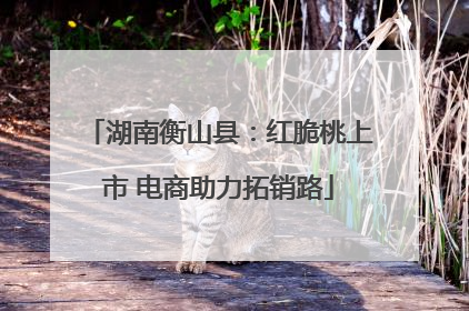 湖南衡山县：红脆桃上市 电商助力拓销路