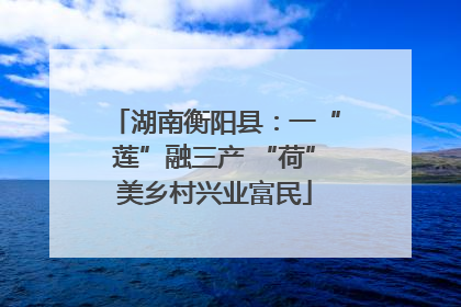 湖南衡阳县：一“莲”融三产 “荷”美乡村兴业富民