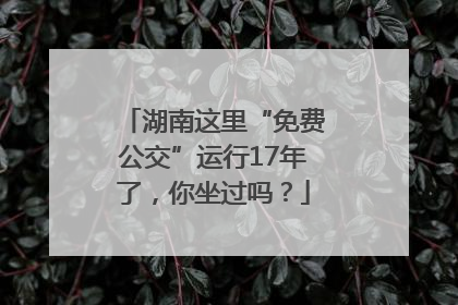 湖南这里“免费公交”运行17年了，你坐过吗？