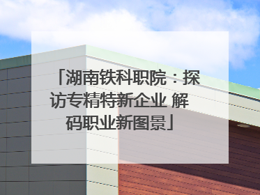 湖南铁科职院：探访专精特新企业 解码职业新图景