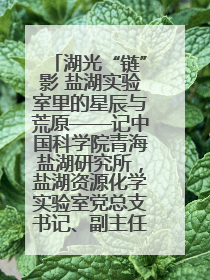 湖光“链”影 盐湖实验室里的星辰与荒原——记中国科学院青海盐湖研究所，盐湖资源化学实验室党总支书记、副主任刘忠