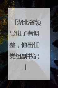 湖北省领导班子有调整，他出任党组副书记