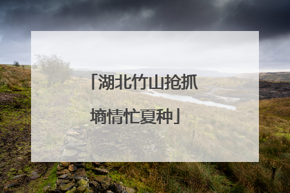 湖北竹山抢抓墒情忙夏种
