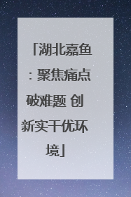 湖北嘉鱼：聚焦痛点破难题 创新实干优环境