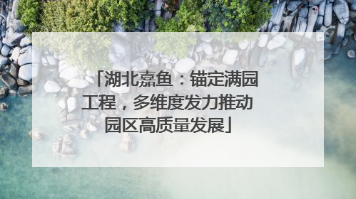湖北嘉鱼：锚定满园工程，多维度发力推动园区高质量发展
