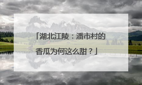 湖北江陵：潘市村的香瓜为何这么甜？