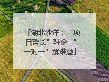湖北沙洋：“项目警长”驻企 “一对一”解难题
