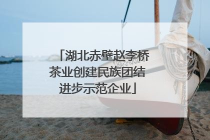 湖北赤壁赵李桥茶业创建民族团结进步示范企业