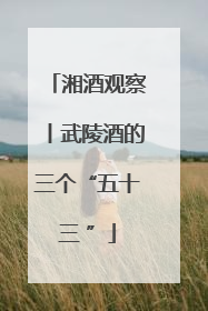 湘酒观察丨武陵酒的三个“五十三 ”