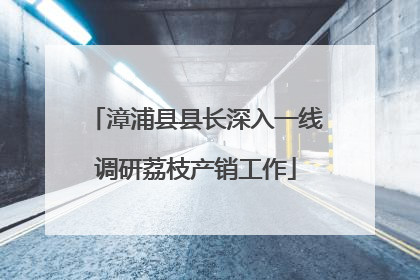 漳浦县县长深入一线调研荔枝产销工作