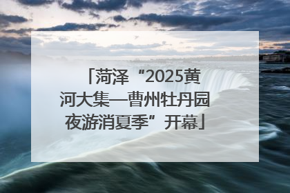 菏泽“2025黄河大集—曹州牡丹园夜游消夏季”开幕