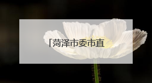 菏泽市委市直机关工委开展无偿献血活动