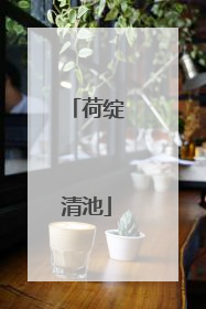荷绽清池