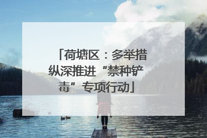 荷塘区：多举措纵深推进“禁种铲毒”专项行动