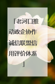 老河口推动政企协作诚信联盟信用评价体系