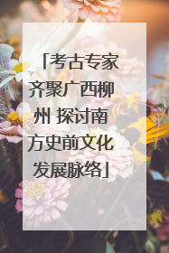考古专家齐聚广西柳州 探讨南方史前文化发展脉络