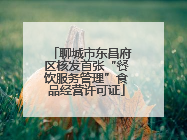 聊城市东昌府区核发首张“餐饮服务管理”食品经营许可证