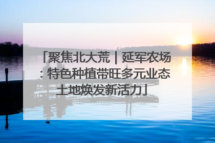 聚焦北大荒｜延军农场：特色种植带旺多元业态 土地焕发新活力