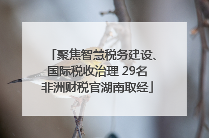 聚焦智慧税务建设、国际税收治理 29名非洲财税官湖南取经