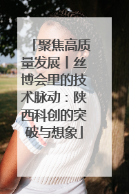聚焦高质量发展丨丝博会里的技术脉动：陕西科创的突破与想象