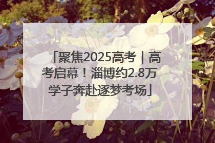 聚焦2025高考｜高考启幕！淄博约2.8万学子奔赴逐梦考场