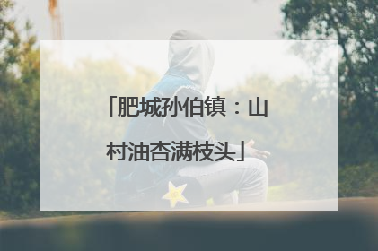 肥城孙伯镇：山村油杏满枝头