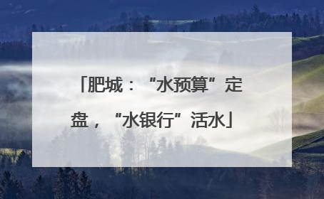 肥城：“水预算”定盘，“水银行”活水