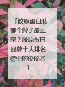 胶原蛋白肽哪个牌子最正宗？胶原蛋白品牌十大排名榜中的佼佼者