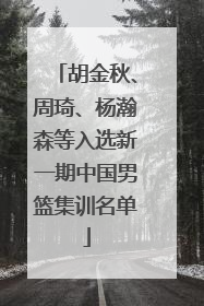 胡金秋、周琦、杨瀚森等入选新一期中国男篮集训名单