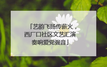 艺韵飞扬传薪火，西厂口社区文艺汇演奏响爱党强音