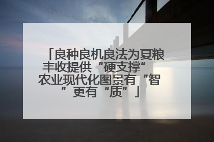 良种良机良法为夏粮丰收提供“硬支撑” 农业现代化图景有“智”更有“质”