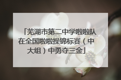 芜湖市第二中学啦啦队在全国啦啦操锦标赛（中大组）中勇夺三金