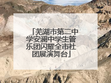 芜湖市第二中学安澜中学生管乐团闪耀全市社团展演舞台