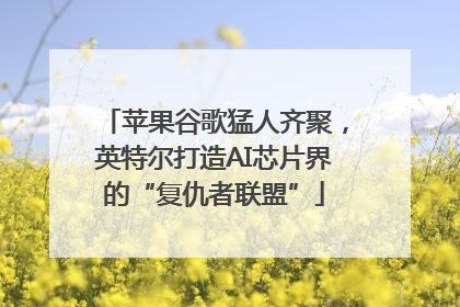 苹果谷歌猛人齐聚，英特尔打造AI芯片界的“复仇者联盟”