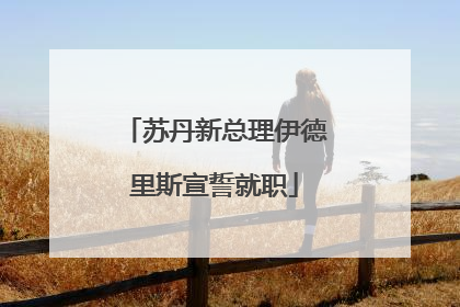 苏丹新总理伊德里斯宣誓就职